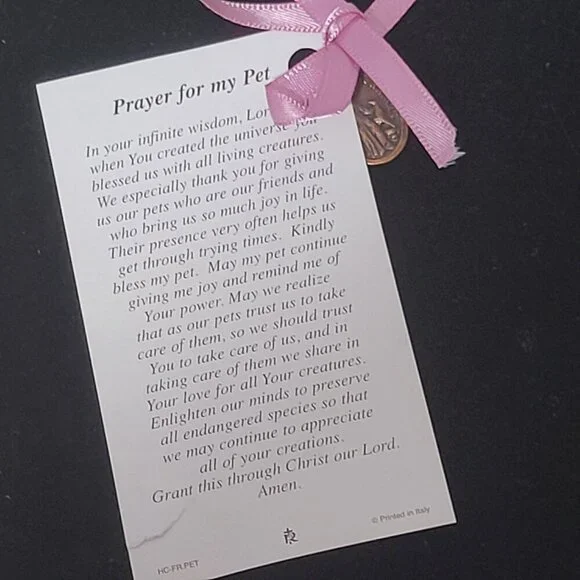 St. Saint Francis of Assisi Prayer Card & Medal Pray for Us Prayer for My Pet - Picture 3 of 3